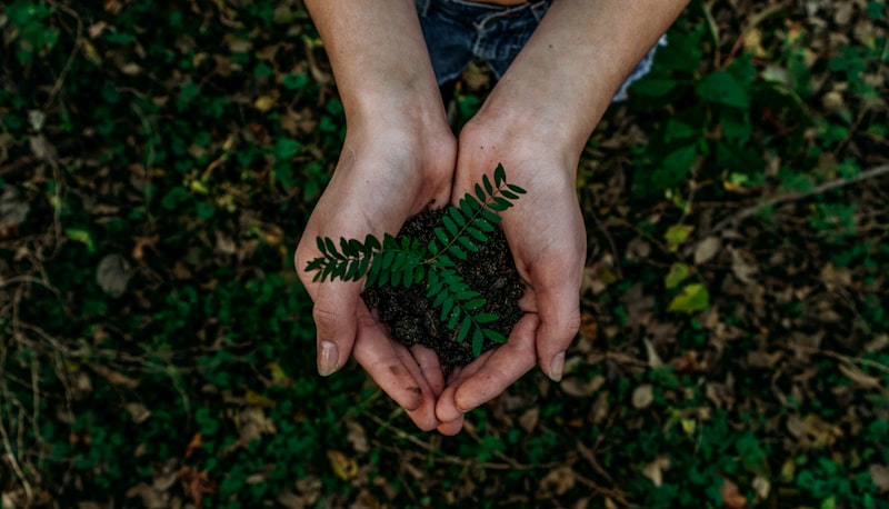 Environment Protection